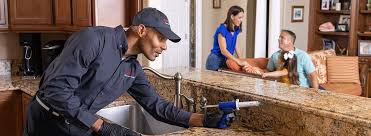 Best Residential Pest Control  in Pikeville, KY